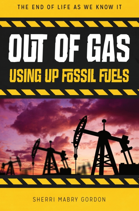 Cover image for book Out of Gas