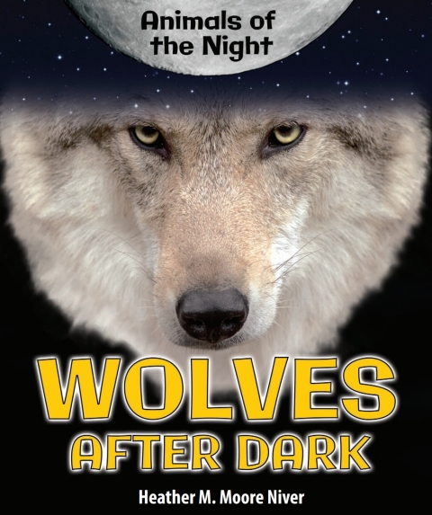 Cover image for book Wolves After Dark