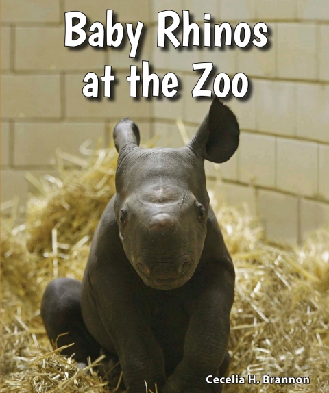 Cover image for book Baby Rhinos at the Zoo