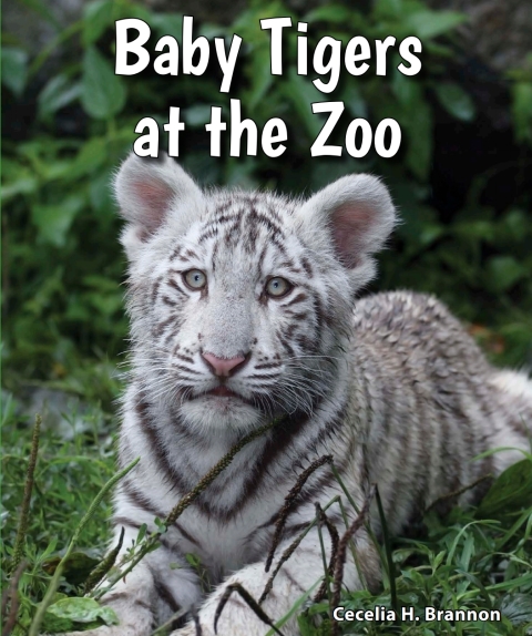 Cover image for book Baby Tigers at the Zoo