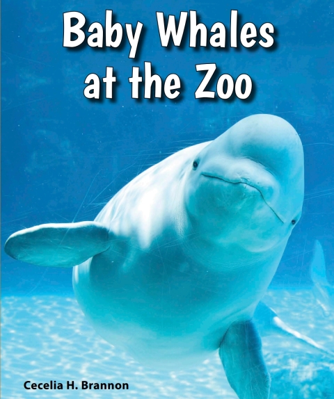 Cover image for book Baby Whales at the Zoo