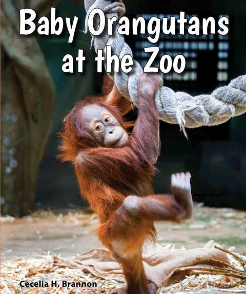 Cover image for book Baby Orangutans at the Zoo