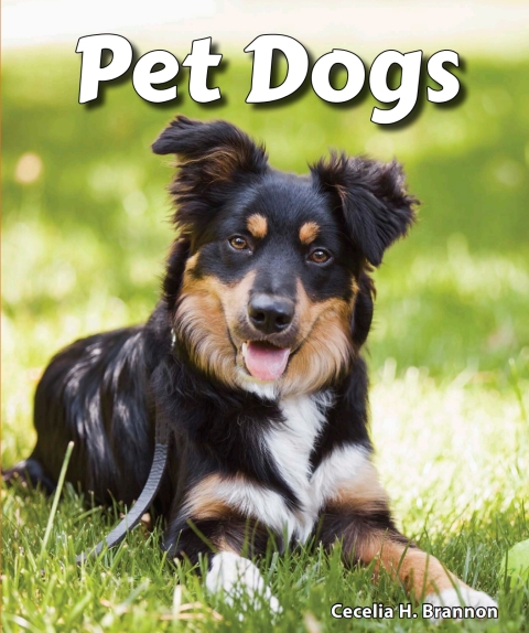 Cover image for book Pet Dogs