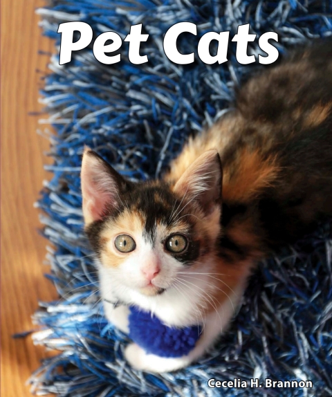 Cover image for book Pet Cats