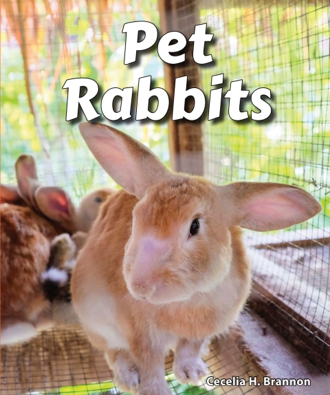 Cover image for book Pet Rabbits