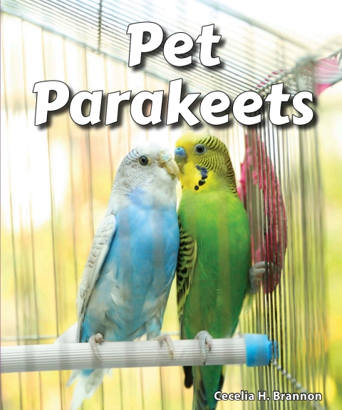 Cover image for book Pet Parakeets