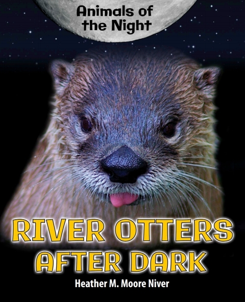 Cover image for book River Otters After Dark