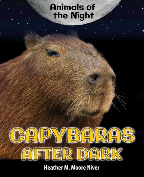 Cover image for book Capybaras After Dark