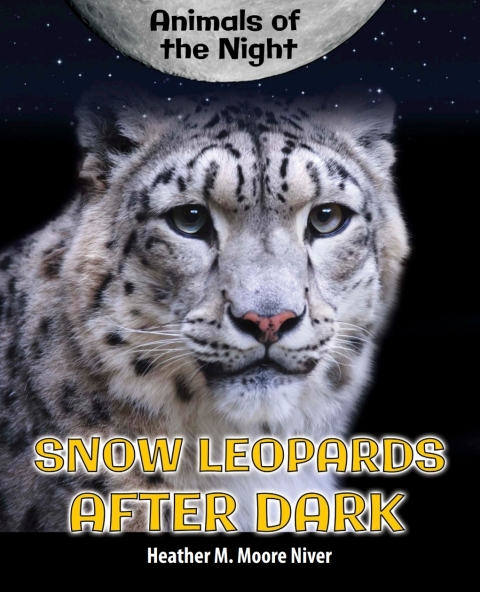 Cover image for book Snow Leopards After Dark