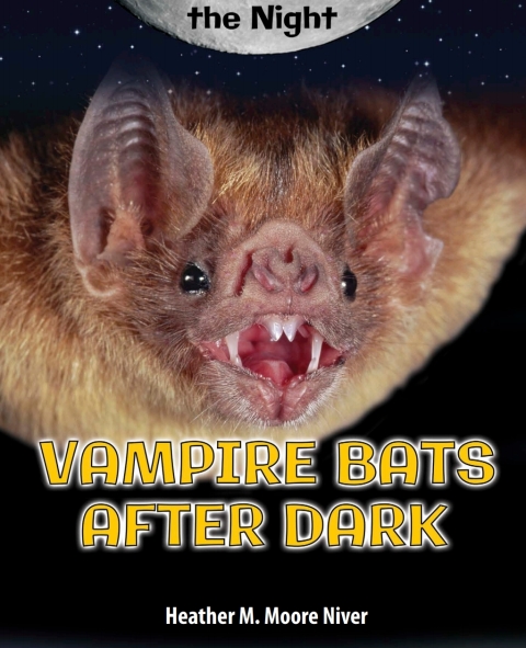 Cover image for book Vampire Bats After Dark