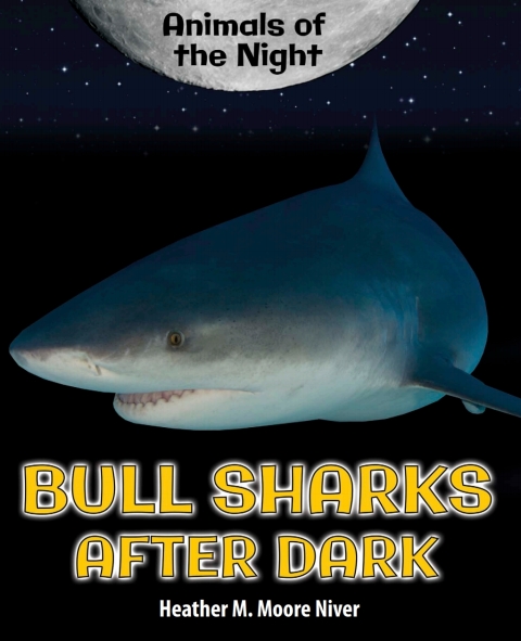 Cover image for book Bull Sharks After Dark