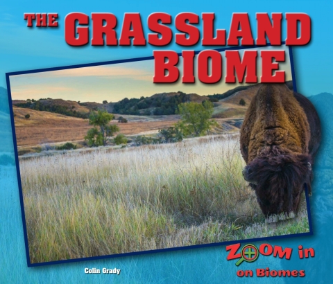 Cover image for book The Grassland Biome