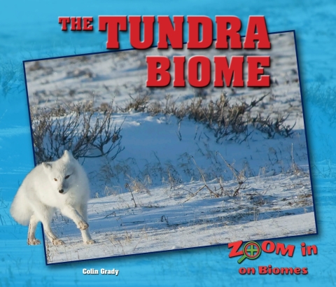 Cover image for book The Tundra Biome