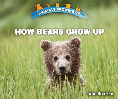 Cover image for book How Bears Grow Up