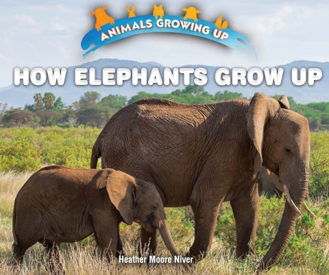 Cover image for book How Elephants Grow Up