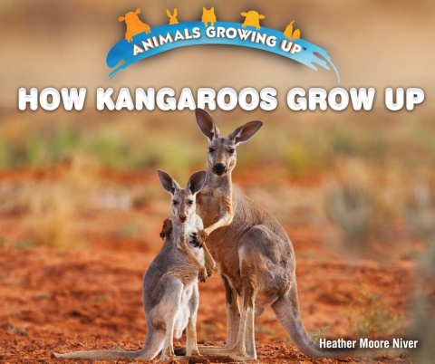 Cover image for book How Kangaroos Grow Up