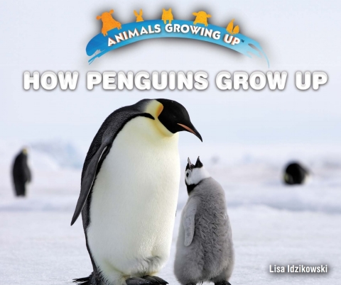 Cover image for book How Penguins Grow Up