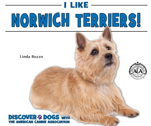 Cover image for book I Like Norwich Terriers!
