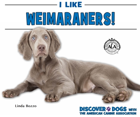 Cover image for book I Like Weimaraners!