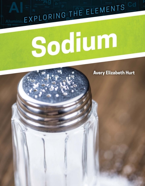Cover image for book Sodium