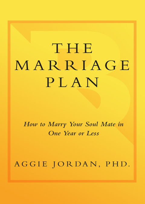 Cover image for book The Marriage Plan
