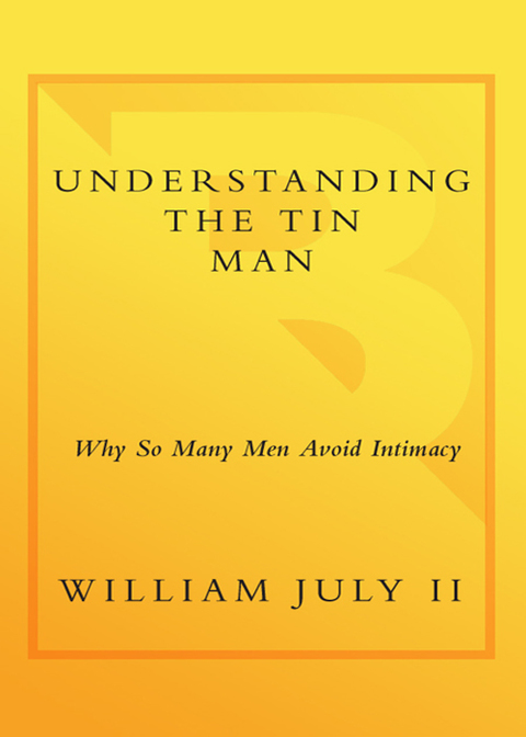 Cover image for book Understanding the Tin Man