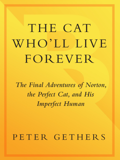 Cover image for book The Cat Who'll Live Forever
