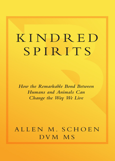 Cover image for book Kindred Spirits