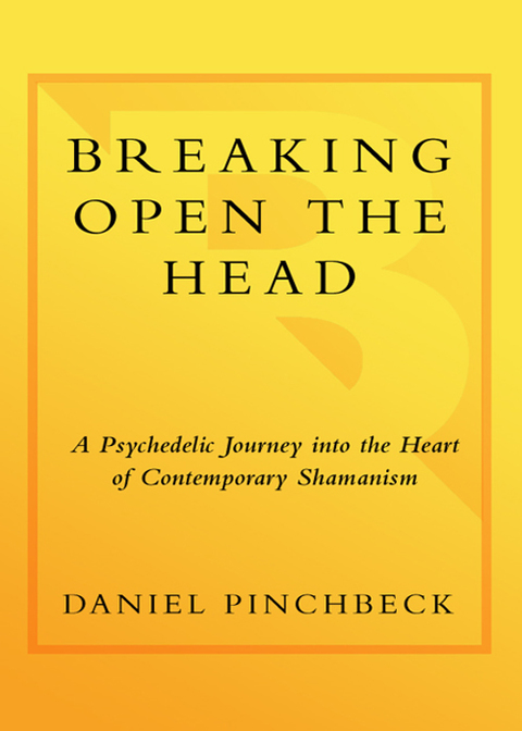 Cover image for book Breaking Open the Head