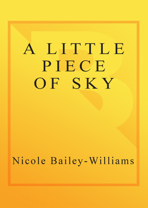 Cover image for book A Little Piece of Sky