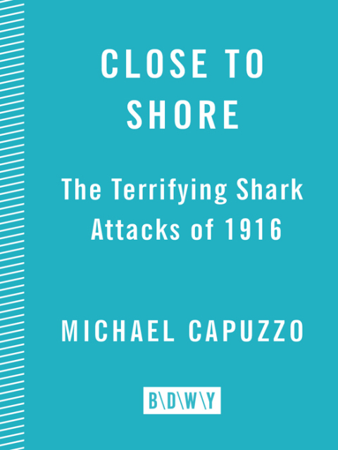 Cover image for book Close to Shore