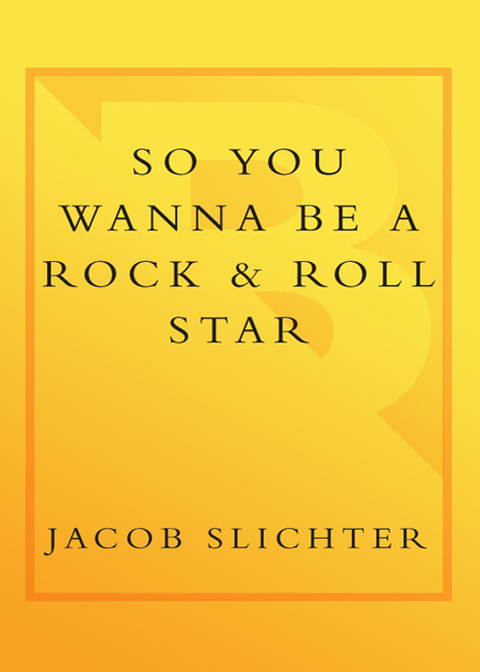 Cover image for book So You Wanna Be a Rock & Roll Star