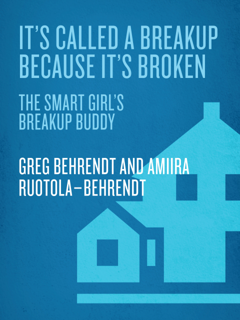 Cover image for book It's Called a Breakup Because It's Broken