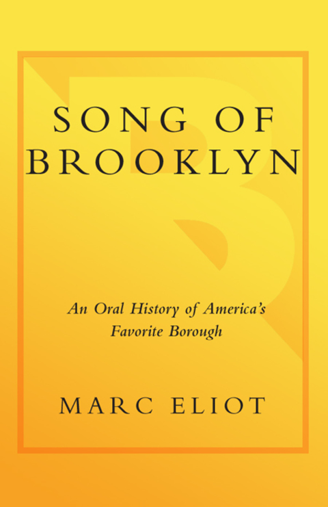 Cover image for book Song of Brooklyn