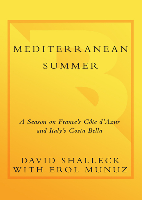Cover image for book Mediterranean Summer