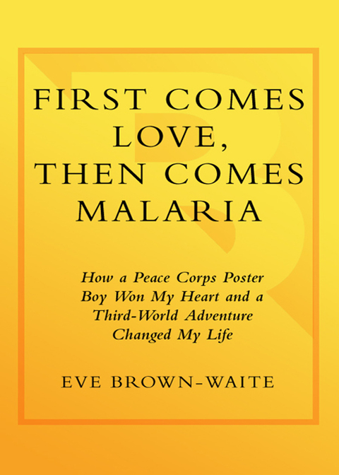 Cover image for book First Comes Love, then Comes Malaria