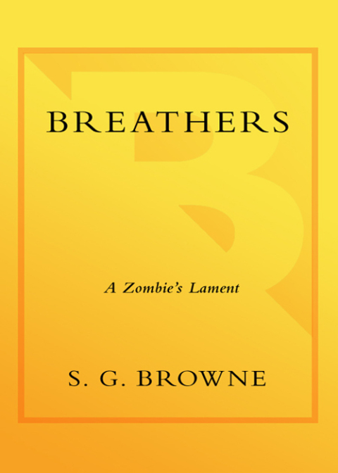 Cover image for book Breathers
