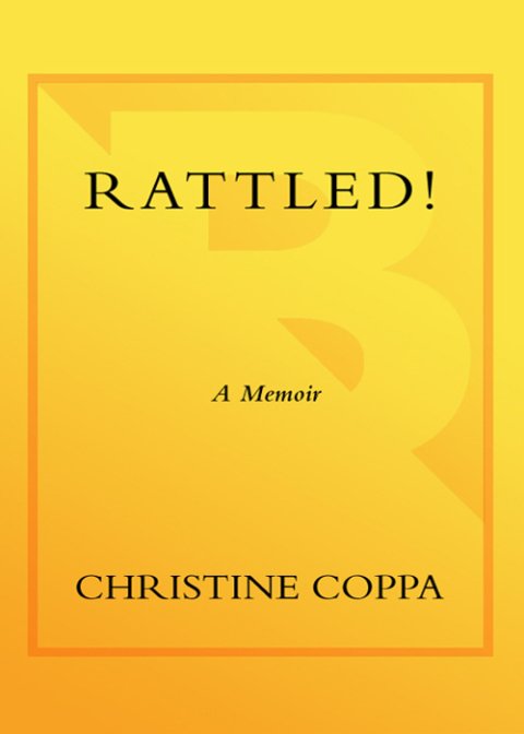Cover image for book Rattled!