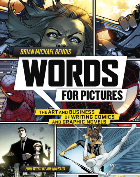 Cover image for book Words for Pictures