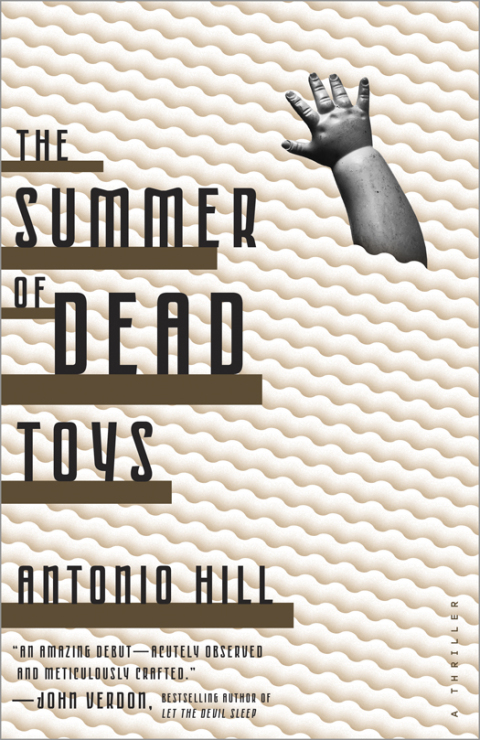 Cover image for book The Summer of Dead Toys