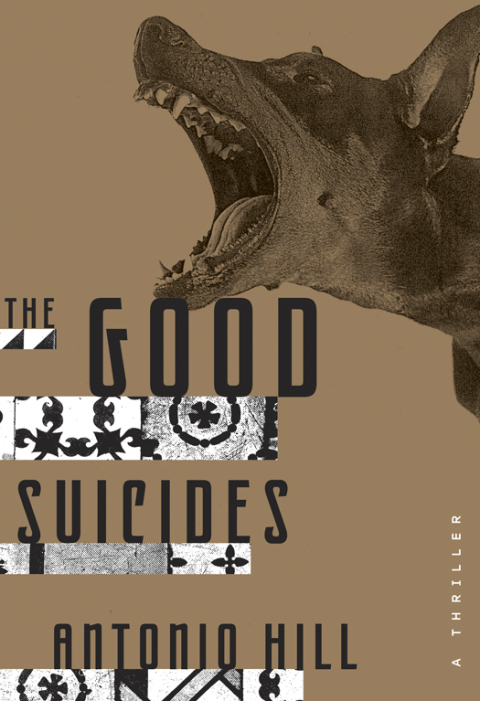 Cover image for book The Good Suicides