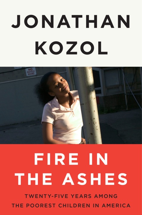 Cover image for book Fire in the Ashes