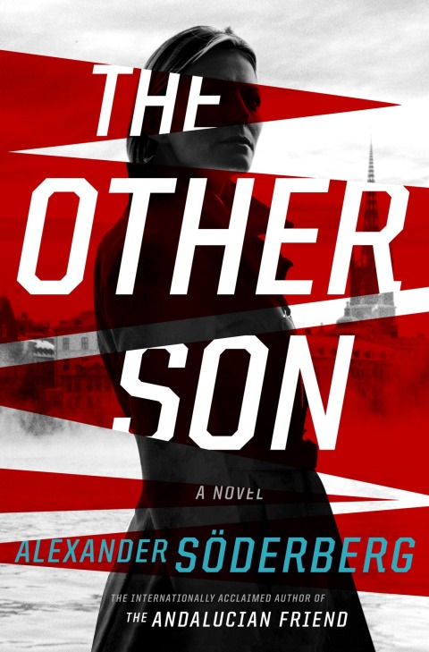 Cover image for book The Other Son