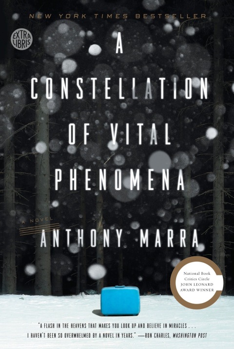 Cover image for book A Constellation of Vital Phenomena