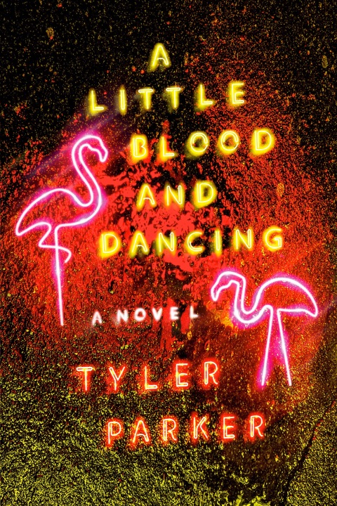 Cover image for book A Little Blood and Dancing