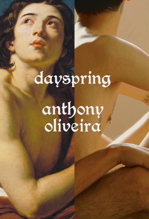 Cover image for book Dayspring