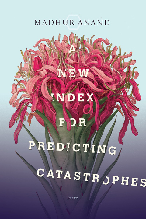 Cover image for book A New Index for Predicting Catastrophes