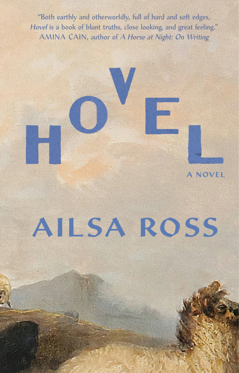 Cover image for book Hovel