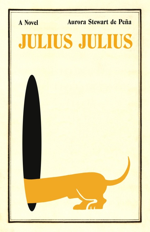 Cover image for book Julius Julius