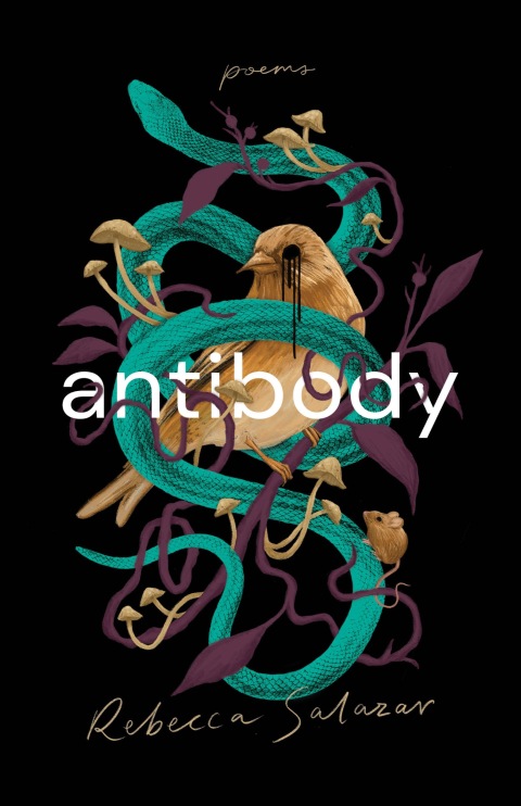 Cover image for book antibody